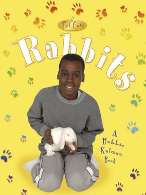 Rabbits - ebook
